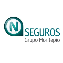 N Seguros