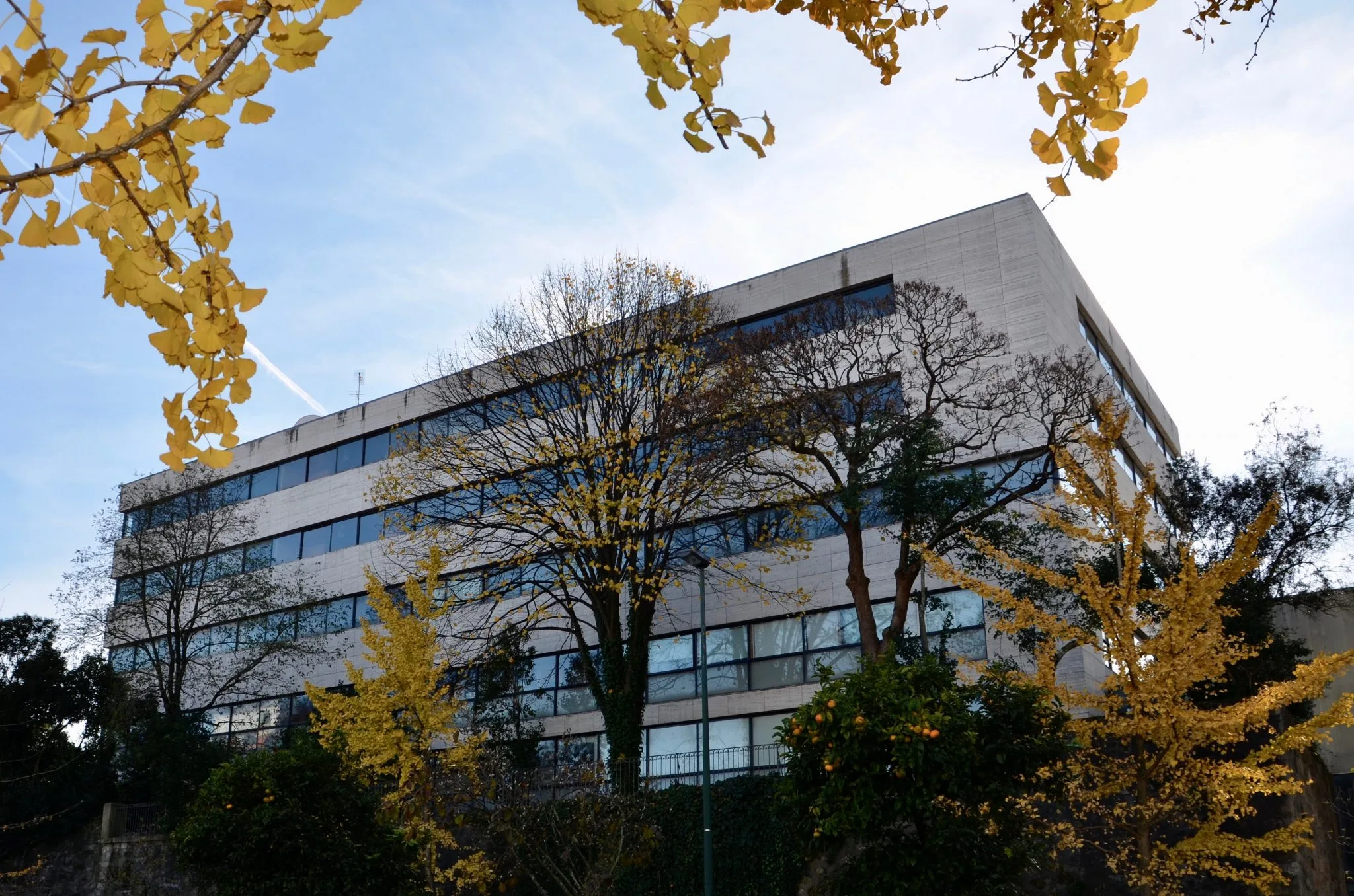 Instalações da Clínica Oftalmológica Dr. Campos Lopes no Porto