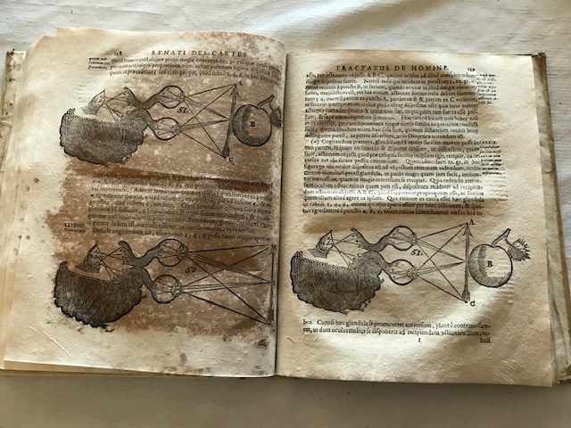 Descartes — Teleconsulta