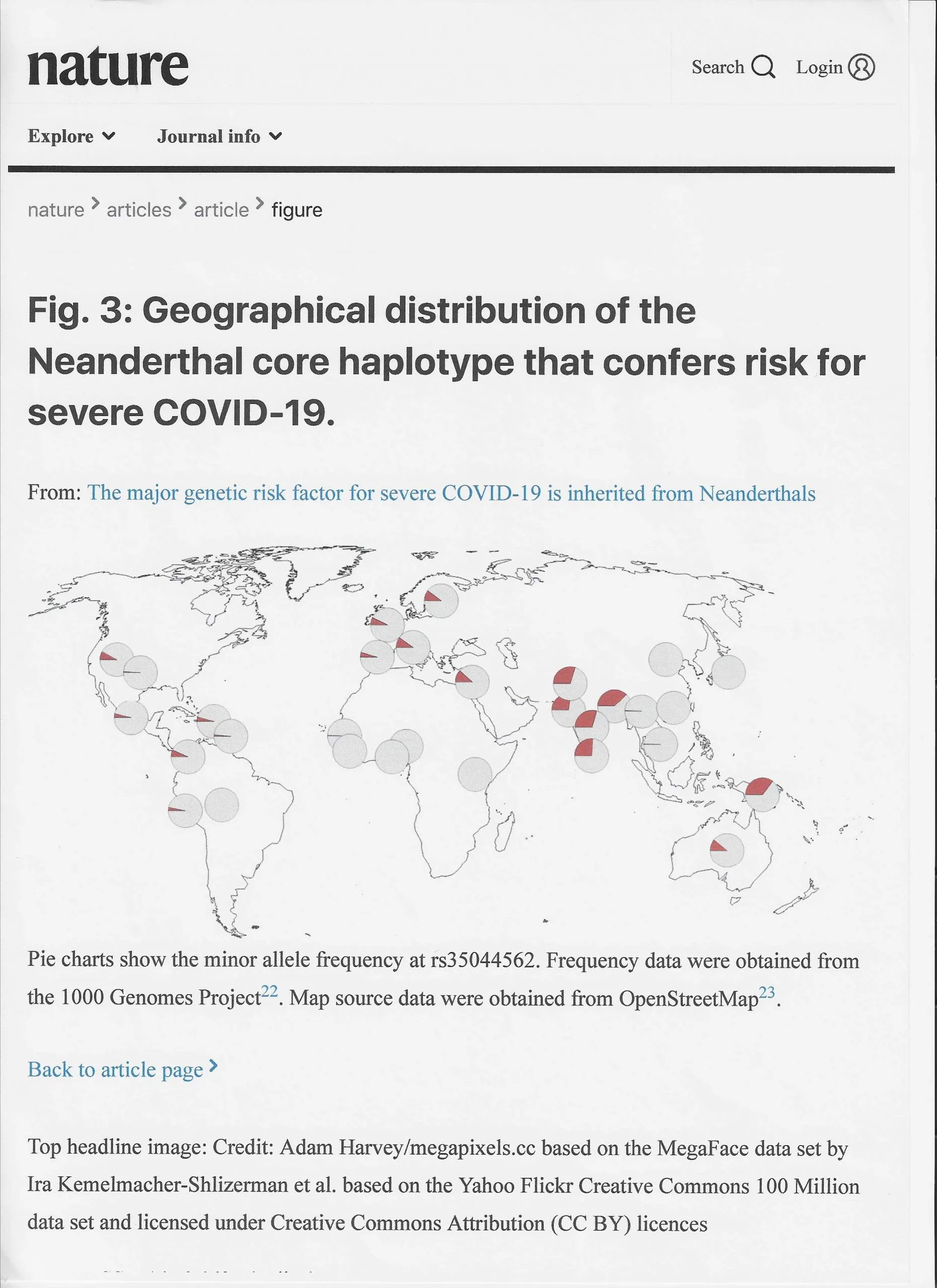 NEANDERTAL3