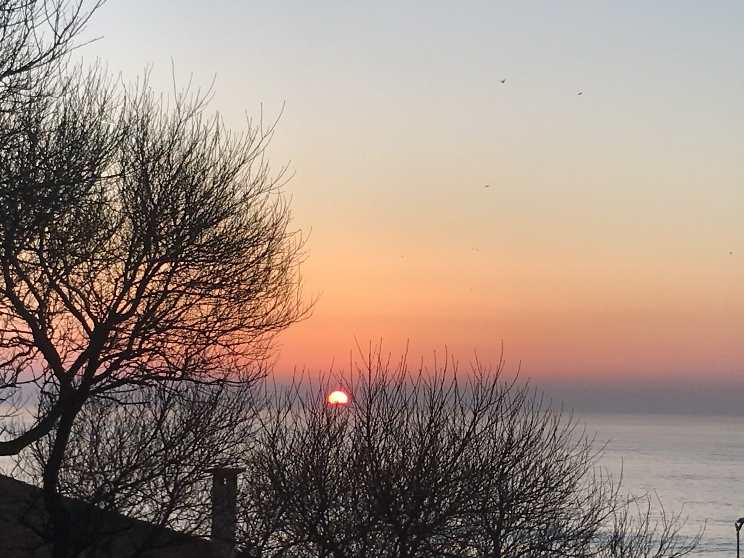 Visão, Depressão e Covid-19