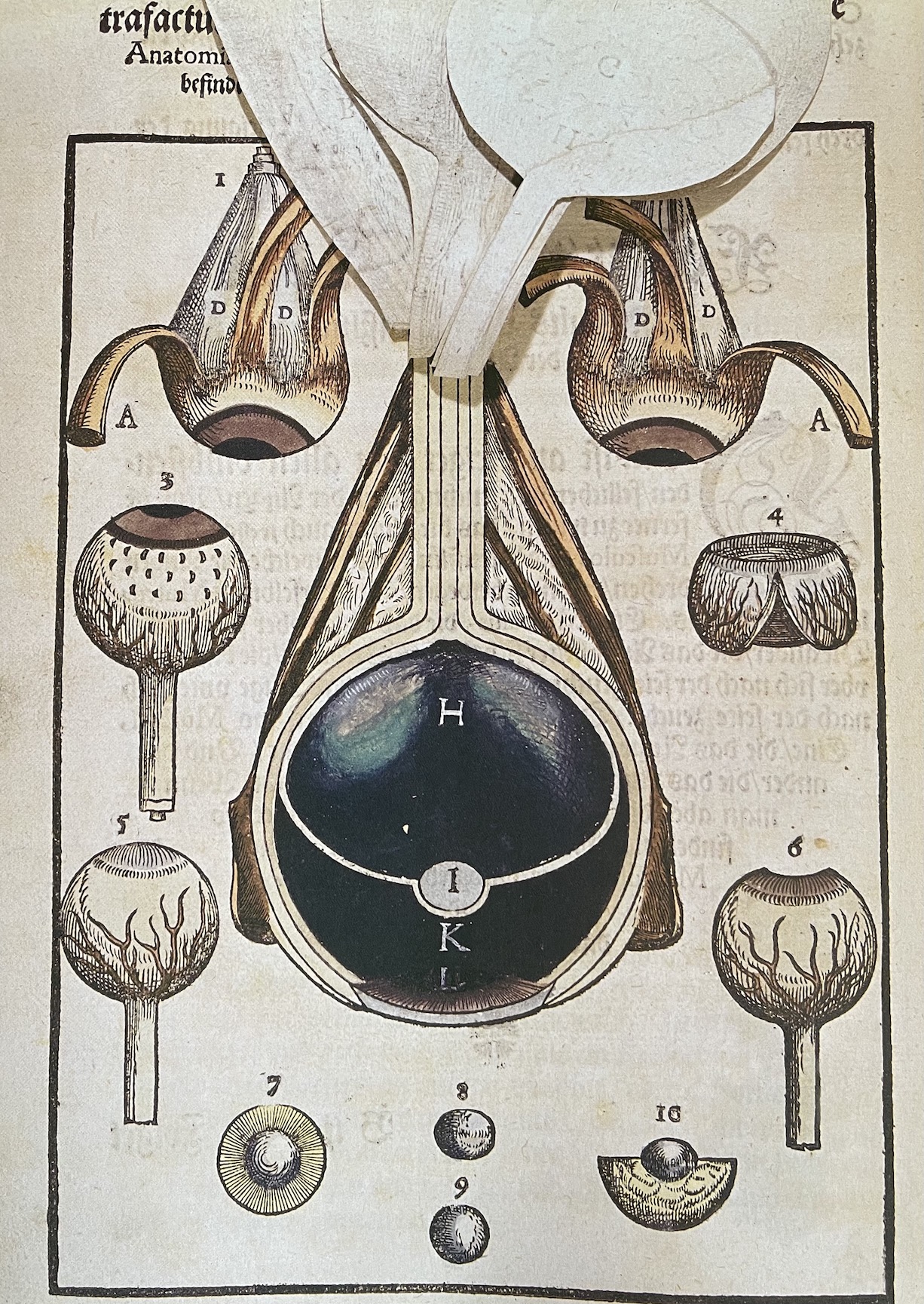 Operação às Cataratas