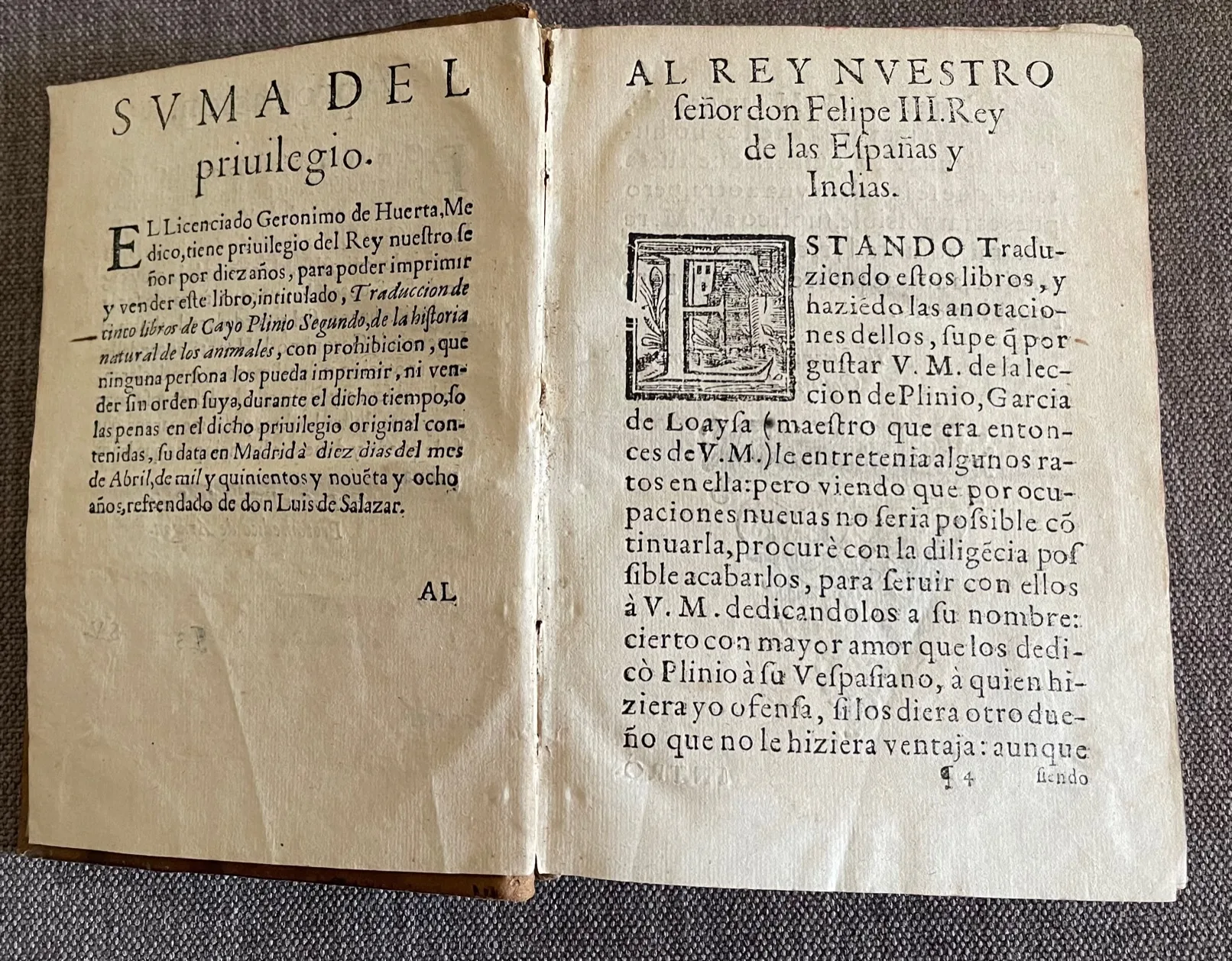 Plínio6