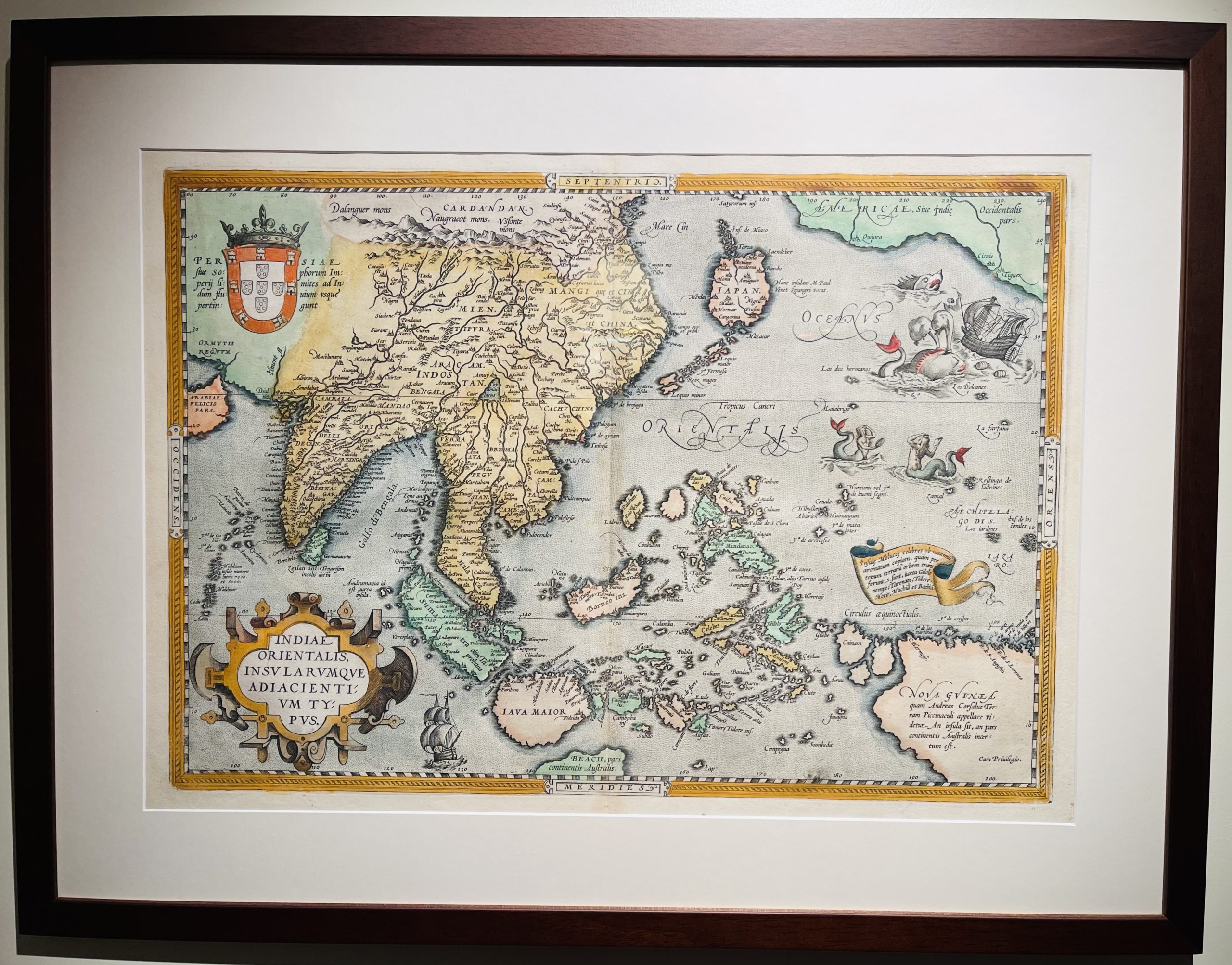 Fernão de Magalhães — Vitamina C