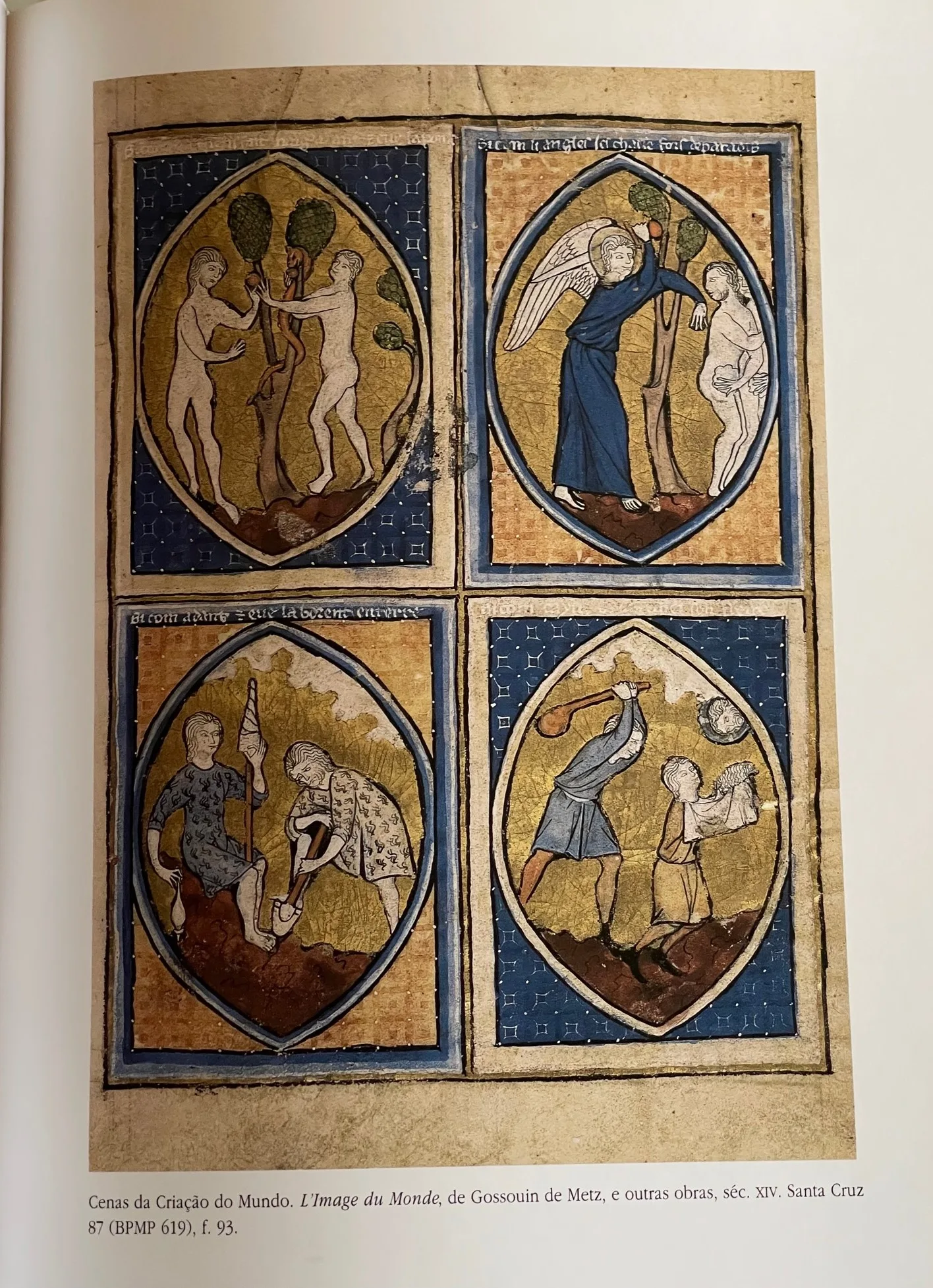 Coimbra6