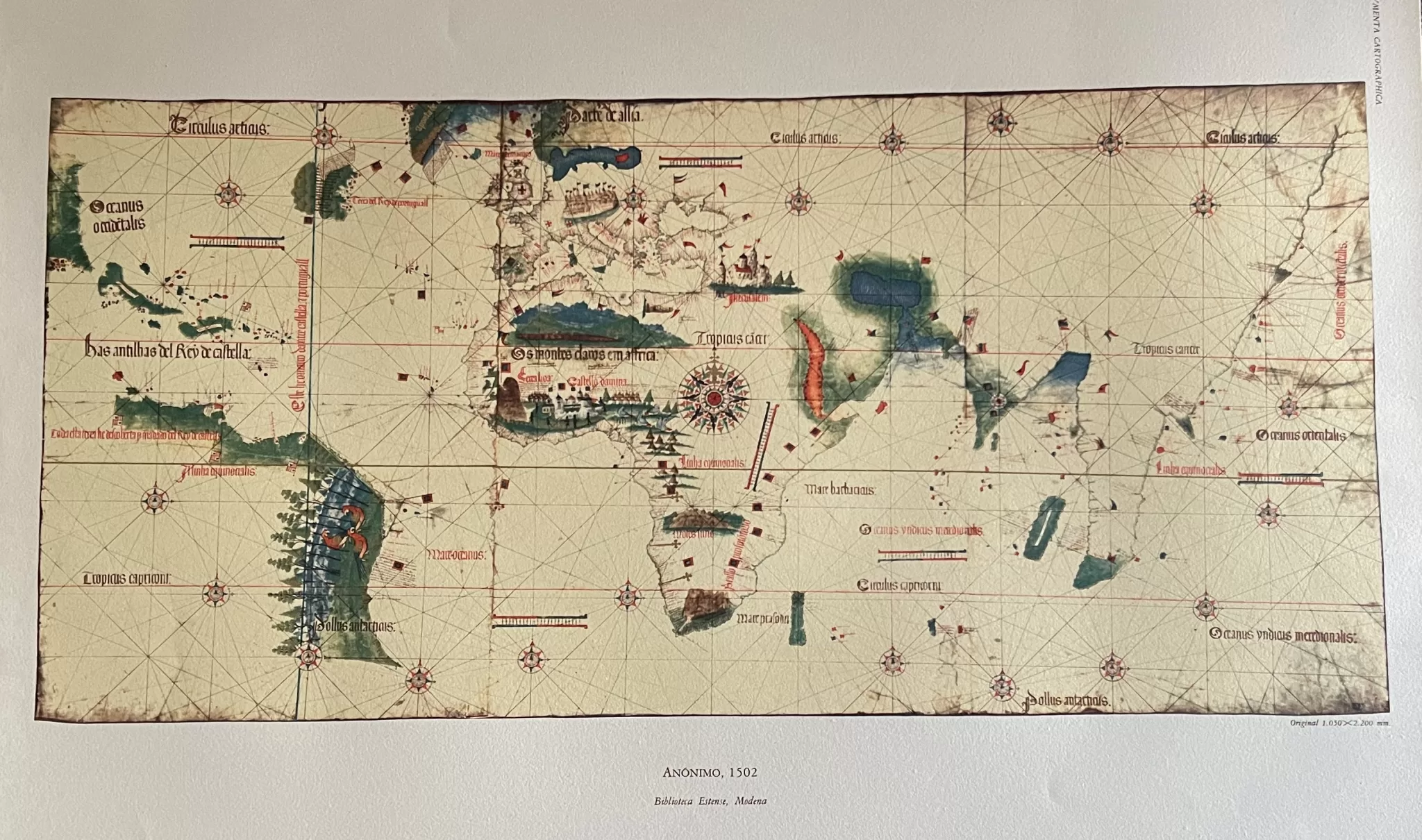 Planisfério de Cantino — cartografia e retinografia